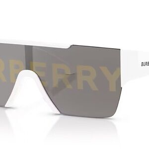 Burberry White and Gray Men's Glasses